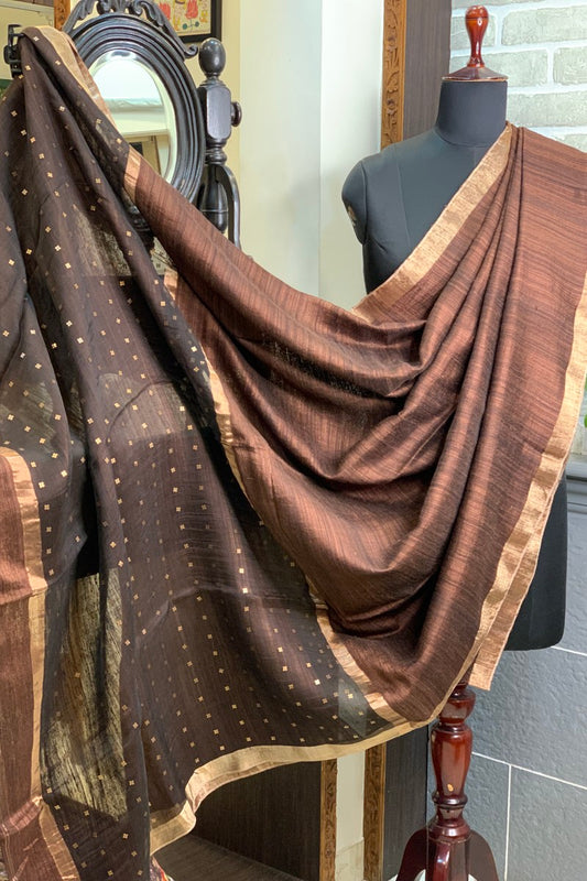 Coffee brown pure matka silk saree with golden zari border and sequins pallu